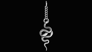 Snake key holder
