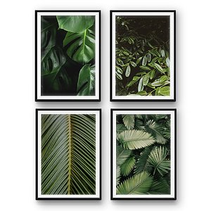 Tropical leaves