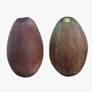 avocado set 02 3D model