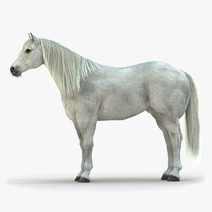 Horse (2) (White/Grey) (RIG) (FUR)