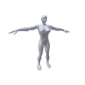 Anime Female basemeshes collection