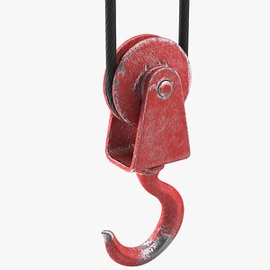 Crane Hook