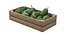 Soursop Wooden Crate