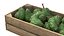 Soursop Wooden Crate