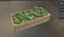 Soursop Wooden Crate