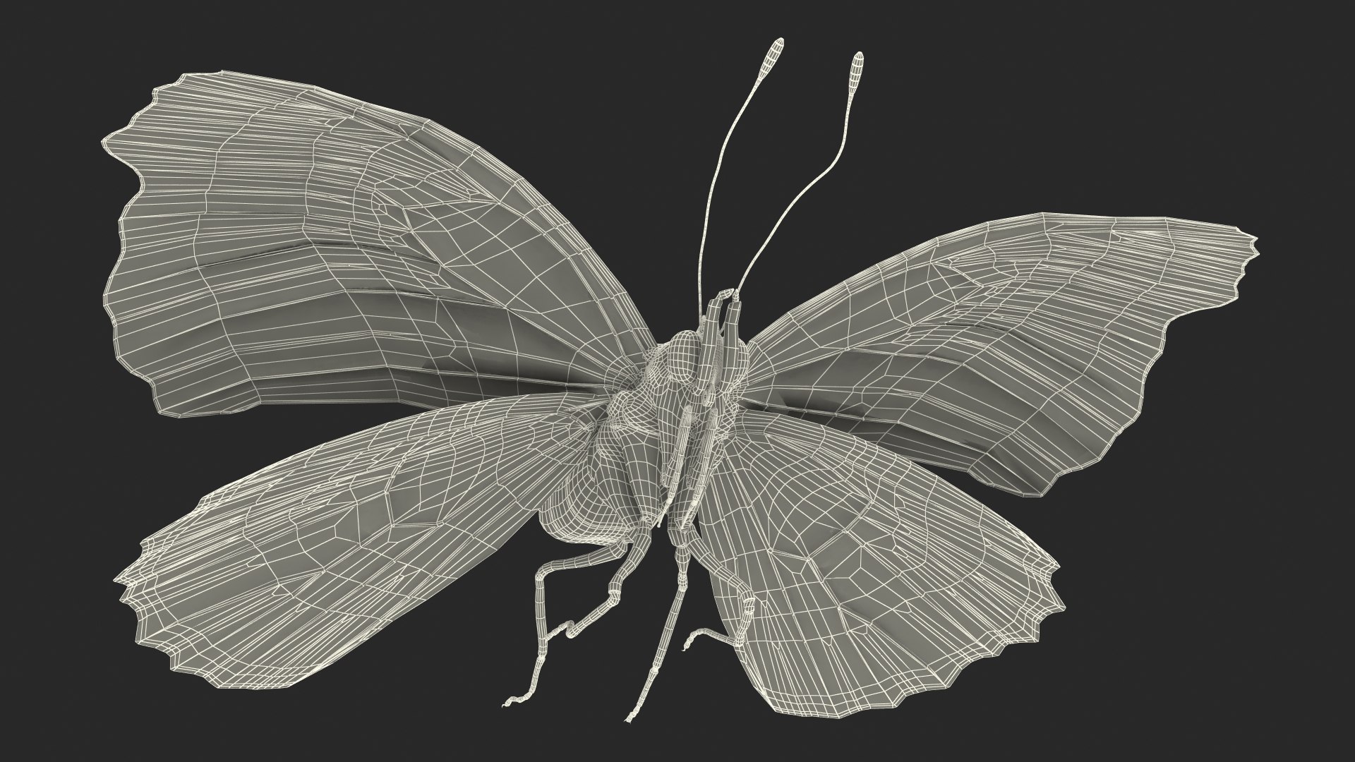 Animated Flight Red Admirable Butterfly Rigged for Maya model https://p.turbosquid.com/ts-thumb/z0/6EVfZm/1E/animatedflightredadmirablebutterflyrigged3dsmodel020/jpg/1627484672/1920x1080/fit_q87/4c00b7a3f09c3781a4dcac1cc26eafffcec3dc09/animatedflightredadmirablebutterflyrigged3dsmodel020.jpg