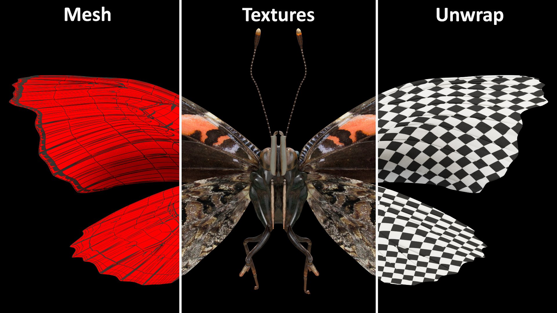 Animated Flight Red Admirable Butterfly Rigged for Maya model https://p.turbosquid.com/ts-thumb/z0/6EVfZm/89/animatedflightredadmirablebutterflyrigged3dsmodel015/jpg/1627484659/1920x1080/fit_q87/f6312434d6c0823261ced3e3884e53e5d25ce0ed/animatedflightredadmirablebutterflyrigged3dsmodel015.jpg