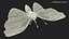 Maya용으로 조작된 애니메이션 비행 Red Admirable Butterfly