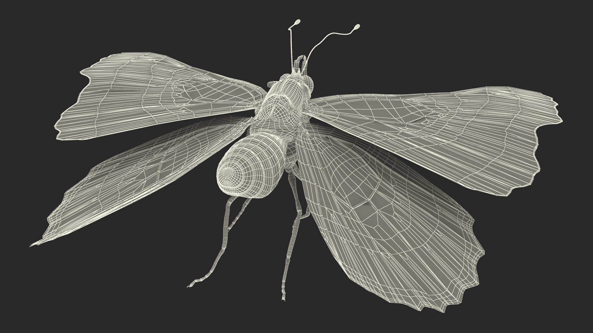 Animated Flight Red Admirable Butterfly Rigged for Maya model https://p.turbosquid.com/ts-thumb/z0/6EVfZm/pM/animatedflightredadmirablebutterflyrigged3dsmodel021/jpg/1627484675/1920x1080/fit_q87/b1b50d616d9d61106149b22a76dea62b735a1cdd/animatedflightredadmirablebutterflyrigged3dsmodel021.jpg