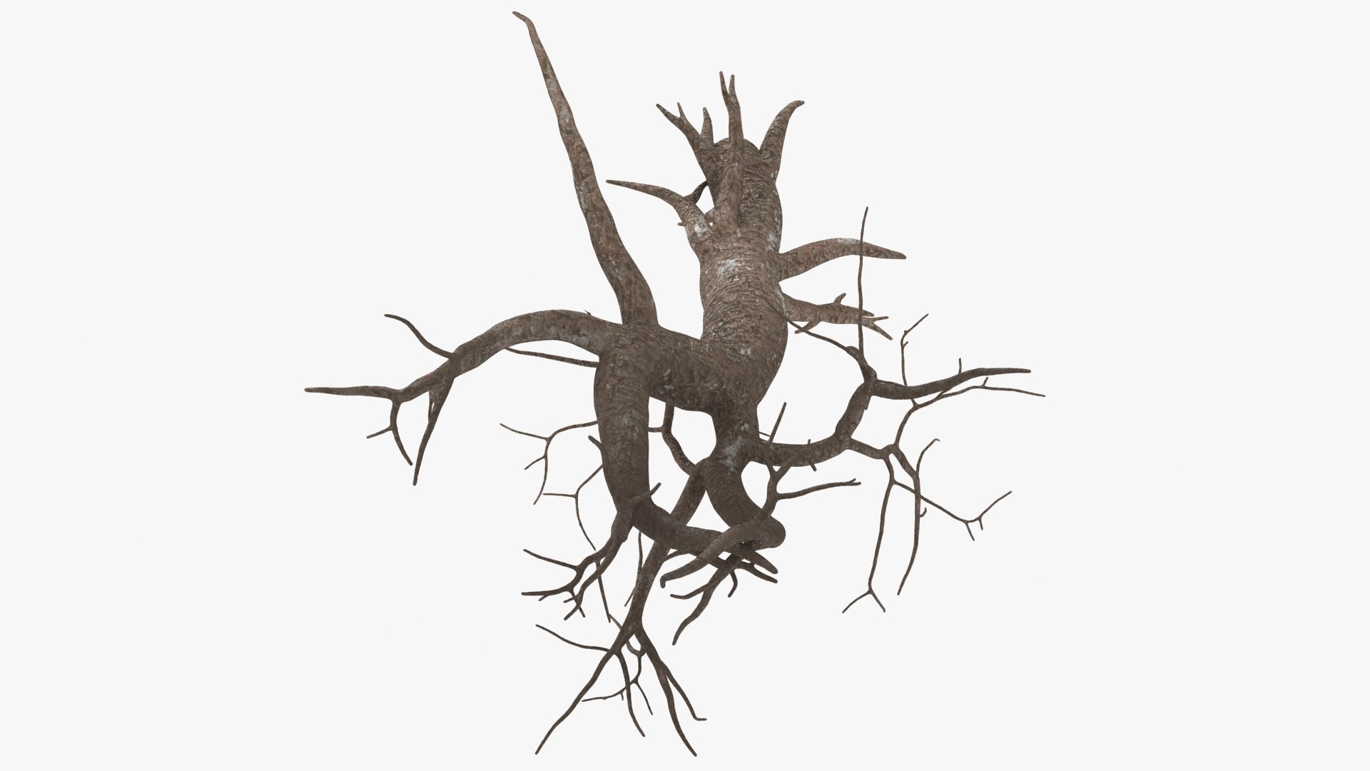 Tree Root 03 3D - TurboSquid 2148518