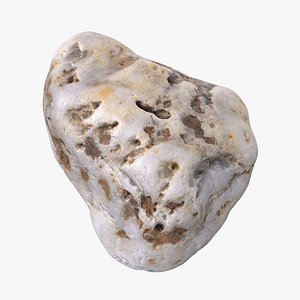 Sea Shore Stone 13 3D model