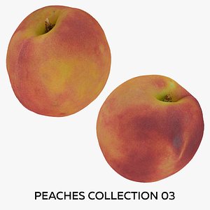 3D Peaches Collection 03 - 2 models RAW Scans model