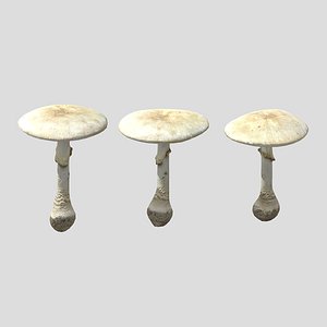 Mushroom Death Cap Low Poly 3D