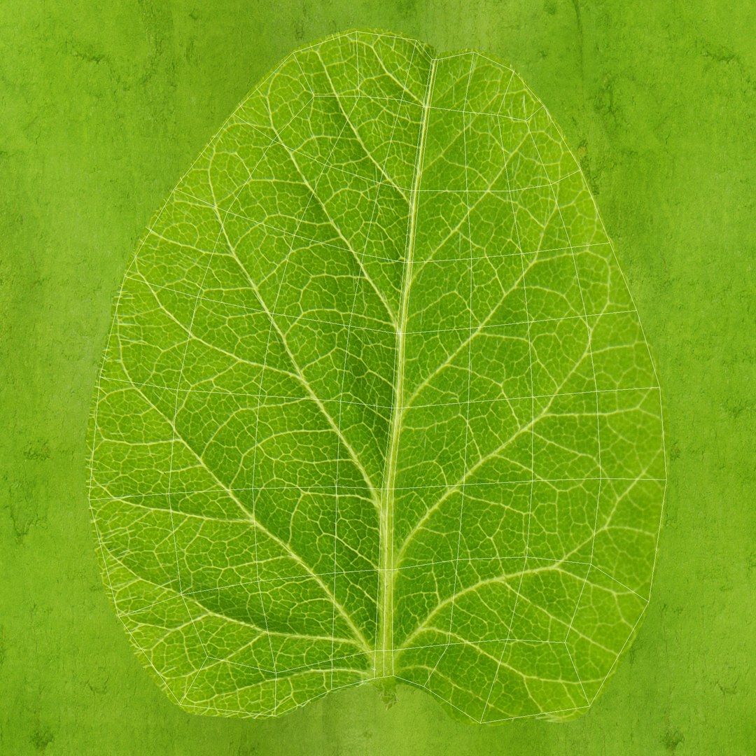 3D soybean plant https://p.turbosquid.com/ts-thumb/z0/fR4AWU/dS6DVaJk/soybeanplantleavewire/jpg/1597945109/1920x1080/fit_q87/f1a3405b5173db6a16acce49b6fd94ee8f8fd5e8/soybeanplantleavewire.jpg
