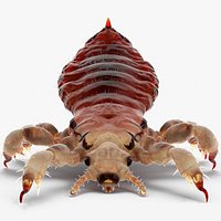 Parasitic Insect Louse with Blood Rigged for Cinema 4D