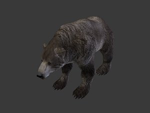 3d dark bear model