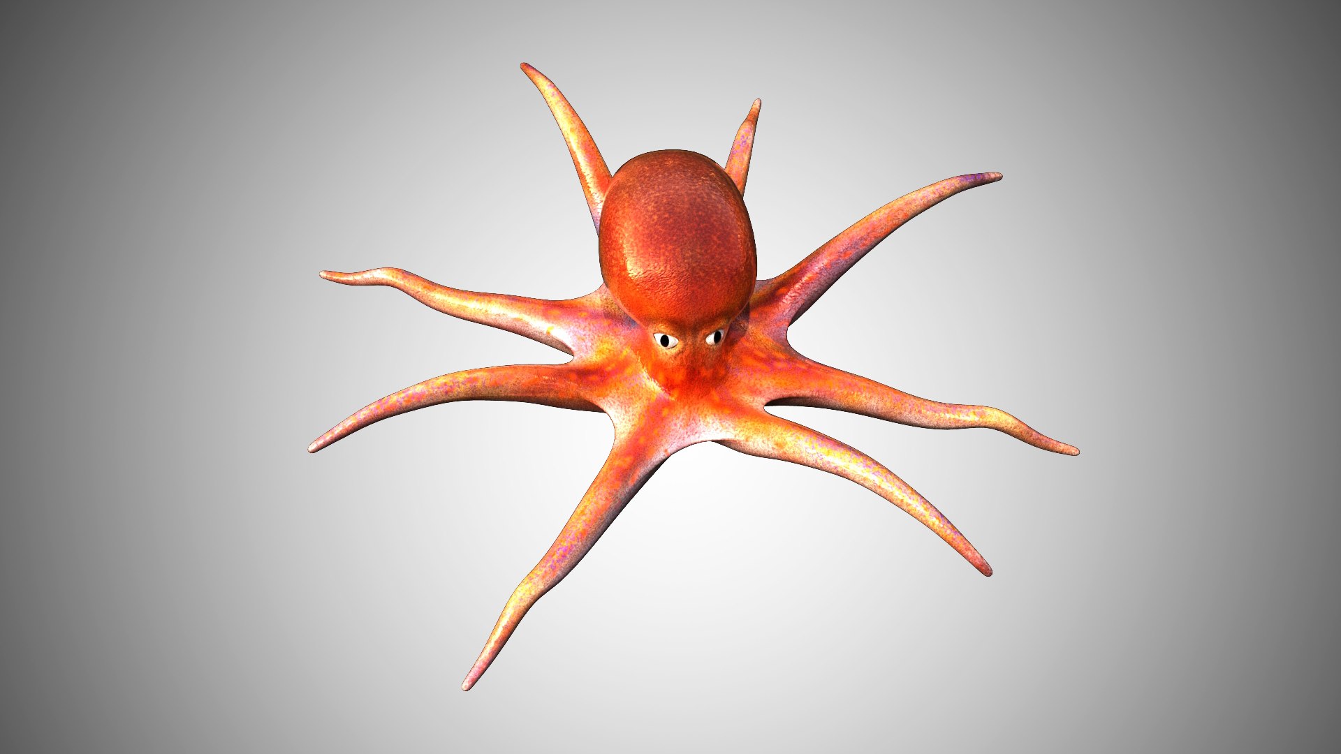 3D Model Rigged - TurboSquid 1586761