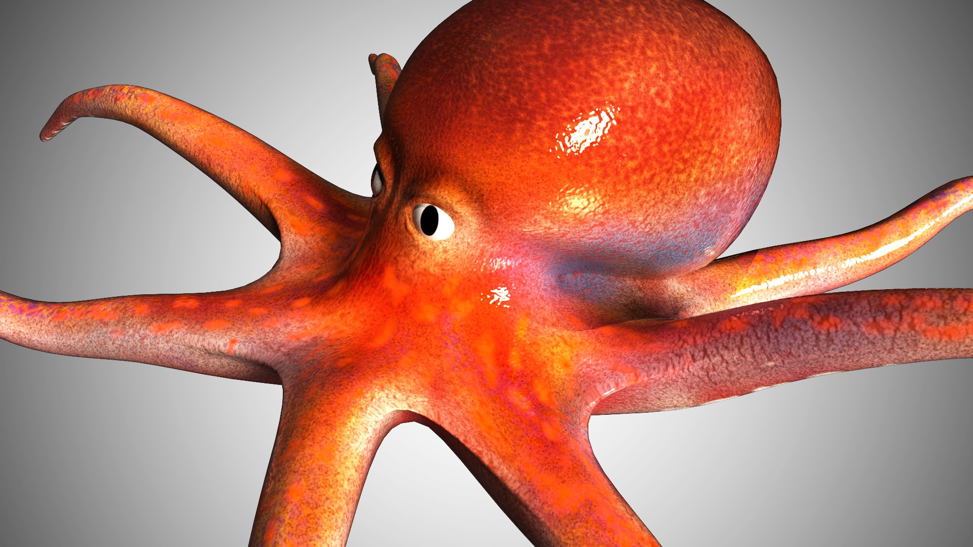 3D Model Rigged - TurboSquid 1586761