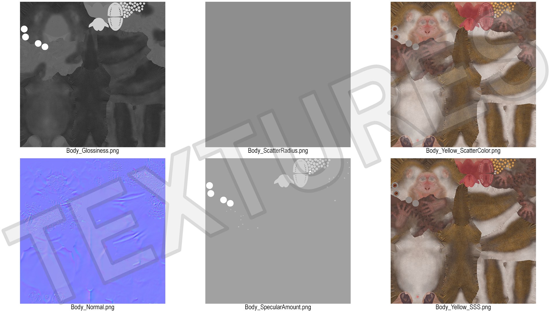 3D Wild Rhesus Monkey Light Brown Rigged model https://p.turbosquid.com/ts-thumb/z1/9EROUB/xO/wild_rhesus_monkey_light_brown_rigged_016/jpg/1753049371/1920x1080/fit_q87/182a767764d2ae80508817a2602a76a4915ca181/wild_rhesus_monkey_light_brown_rigged_016.jpg