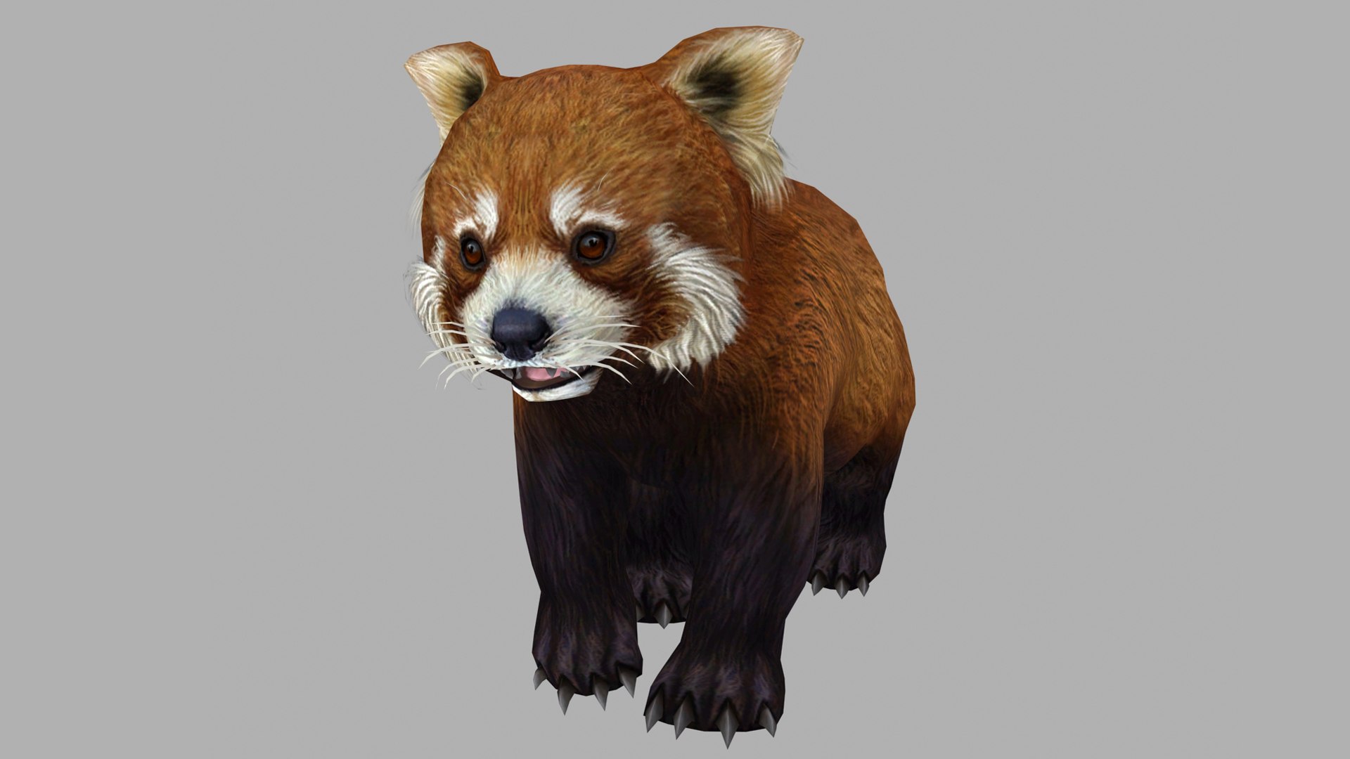 3D red panda model https://p.turbosquid.com/ts-thumb/z1/QBkqtb/5Z/z04/jpg/1705150416/1920x1080/fit_q87/0e8f79f39e4919a06c226f8a11be2a4fe32faff8/z04.jpg