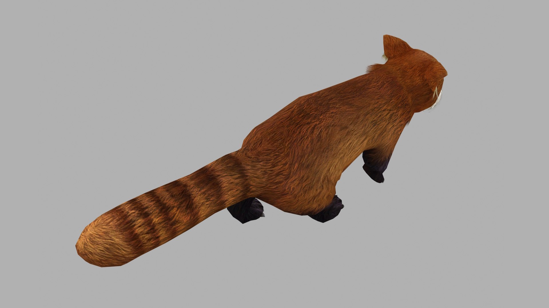 3D red panda model https://p.turbosquid.com/ts-thumb/z1/QBkqtb/iy/z02/jpg/1705150414/1920x1080/fit_q87/61204f1b2a70276d3c0b1015f66ec12c32eac258/z02.jpg