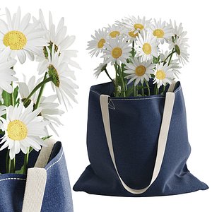 Flowers Daisies