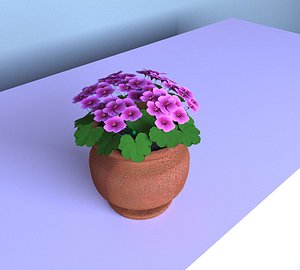 3D home flower geran