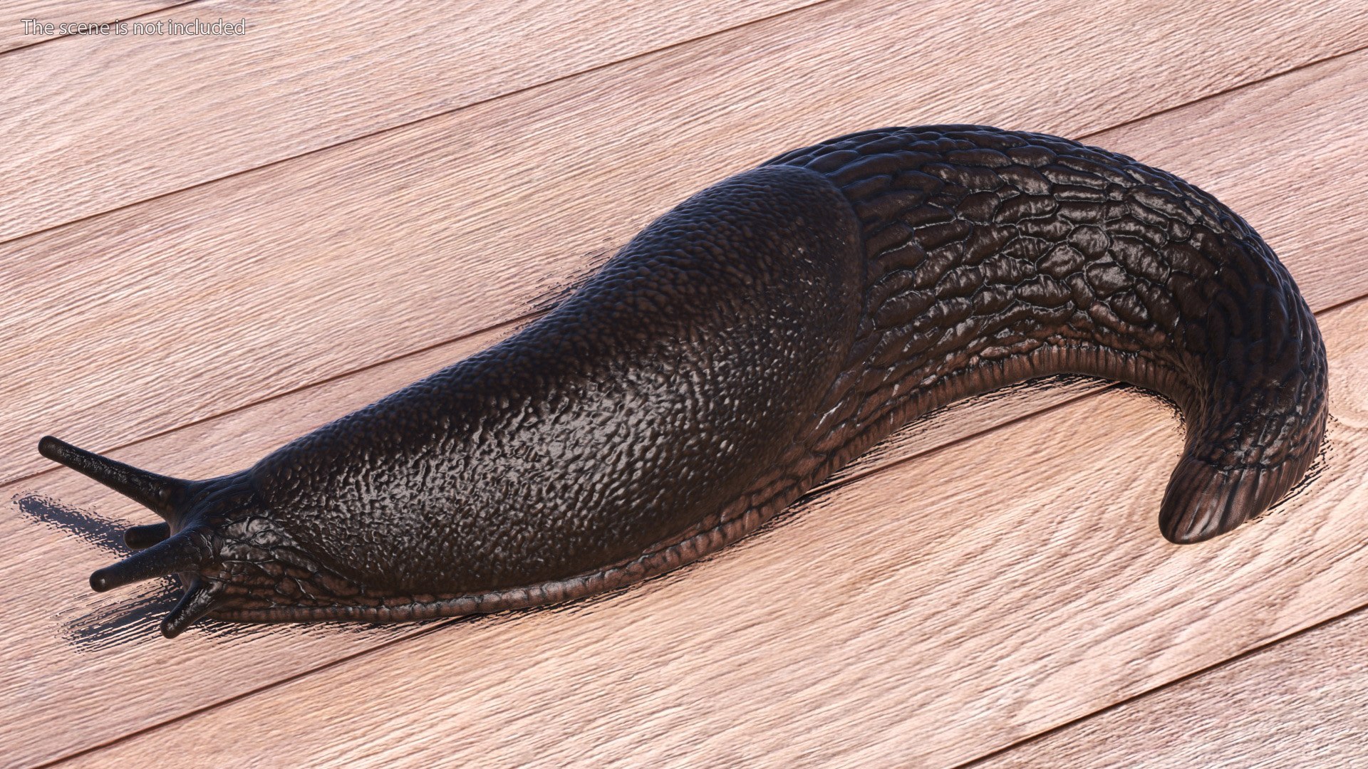Slugs Rigged for Cinema 4D Collection 3D model https://p.turbosquid.com/ts-thumb/z1/hNxiuI/Rm/rigged_slugs_collection_for_cinema_4d_024/jpg/1768232041/1920x1080/fit_q87/23b02422cea2b9971781d12f66e1a8109128835c/rigged_slugs_collection_for_cinema_4d_024.jpg
