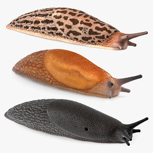 Slugs Rigged for Cinema 4D Collection