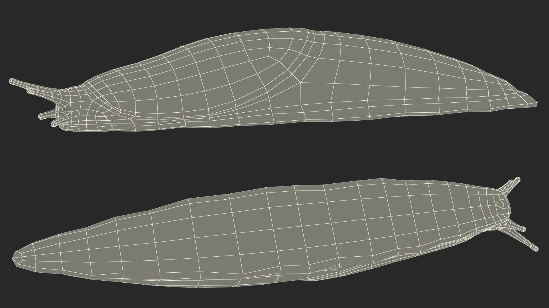 Slugs Rigged for Cinema 4D Collection 3D model https://p.turbosquid.com/ts-thumb/z1/hNxiuI/pA/rigged_slugs_collection_for_cinema_4d_030/jpg/1768232044/1920x1080/fit_q87/c84f0759c6bd631d29db325ca687bfda44f27ced/rigged_slugs_collection_for_cinema_4d_030.jpg