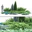 3D juniper juniperus 01