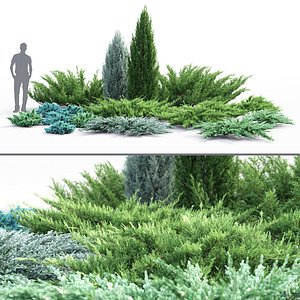 Juniperus Pack 01