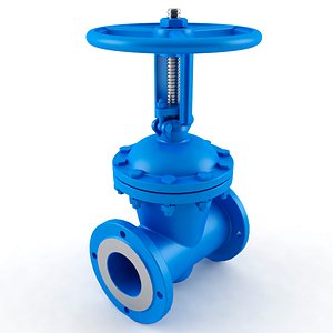 Valve