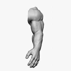 Hand Detalized model