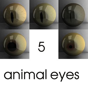 3d animal eyes