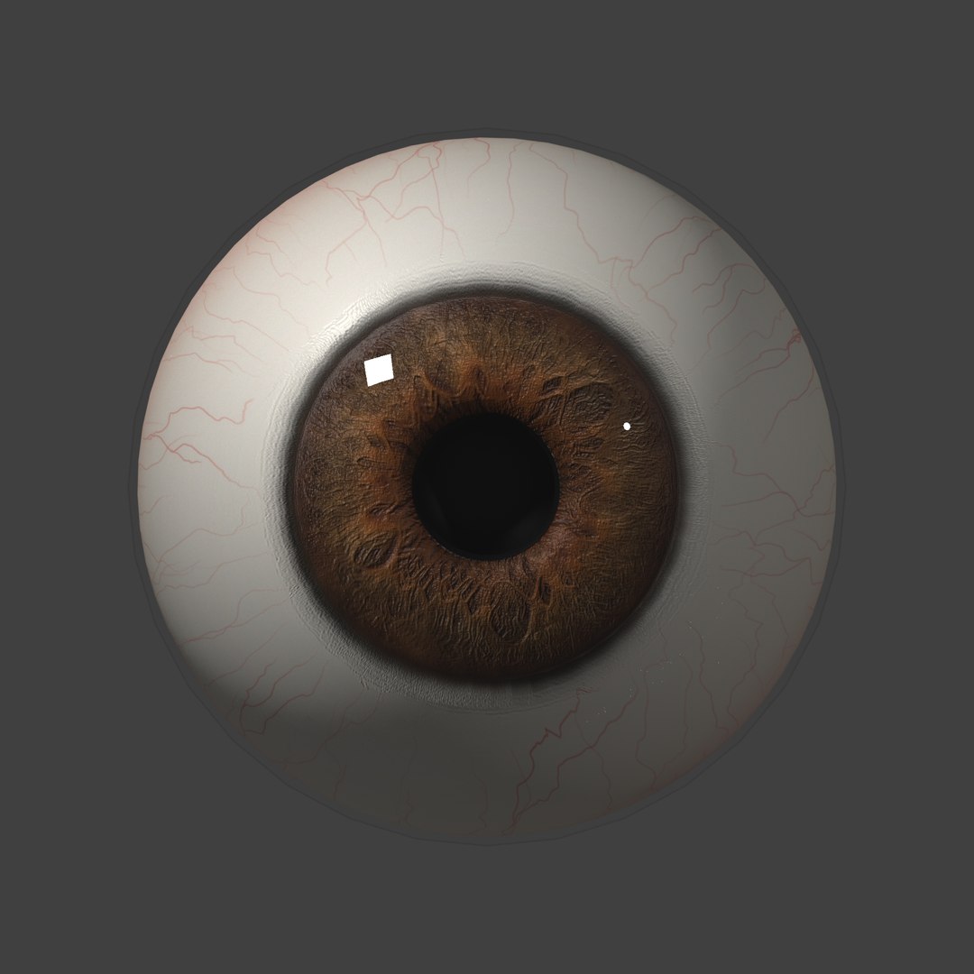 eyeball eye model https://p.turbosquid.com/ts-thumb/z2/21fzw5/4kMoXHhr/test_render7/png/1558724005/1920x1080/fit_q87/980c52f2bcddead4e78fdd42d37c38e0298b1e68/test_render7.jpg