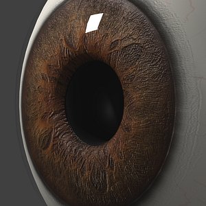 Photorealistic eyeball