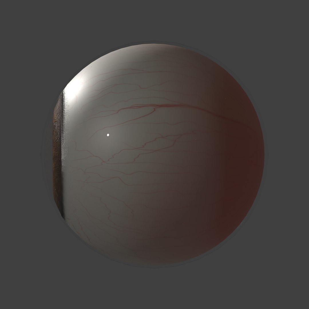 eyeball eye model https://p.turbosquid.com/ts-thumb/z2/21fzw5/cuJVmoze/test_render8/png/1558723989/1920x1080/fit_q87/269fdef943343ea88c04d305dd11445e8be58c25/test_render8.jpg