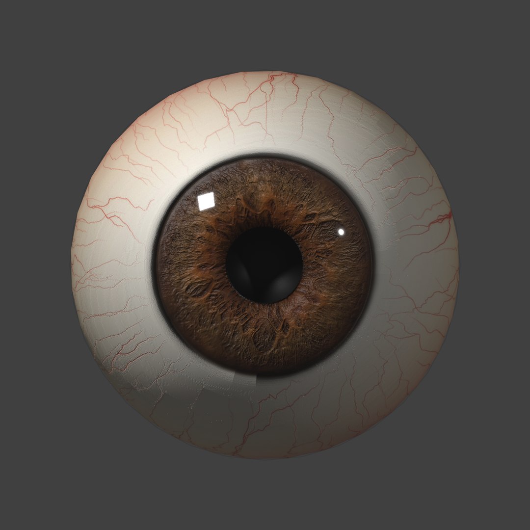 eyeball eye model https://p.turbosquid.com/ts-thumb/z2/21fzw5/y6u10JSs/test_render6/png/1558724030/1920x1080/fit_q87/3e8994fd93e1b7361533b82b648c0f8a9a73c948/test_render6.jpg