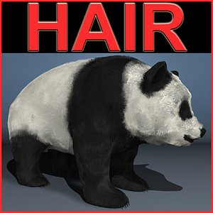 panda bear c4d