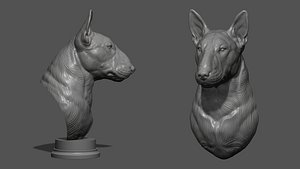 3D Bull Terrier bust
