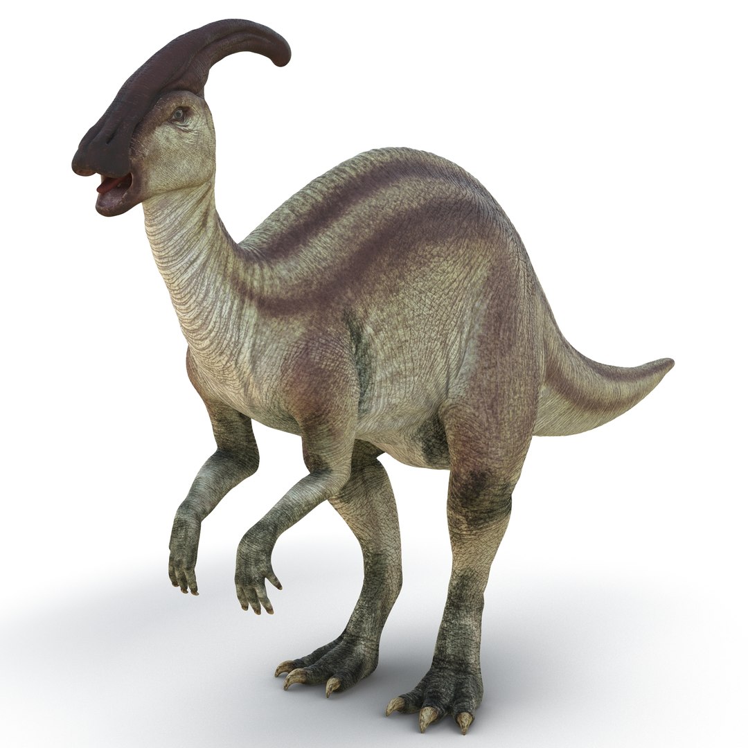 Parasaurolophus 3D model preview