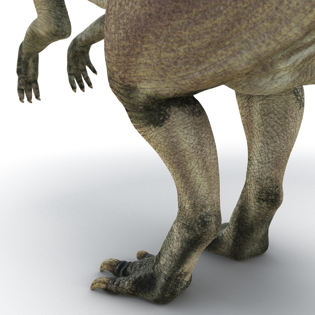 parasaurolophus 3d c4d https://p.turbosquid.com/ts-thumb/z2/DHYx1b/715zbJdt/parasaurolophus3dmodel13/jpg/1453386214/1920x1080/fit_q87/1e719af9fc1f0d95789011c5ec78c26e6fc3b3e1/parasaurolophus3dmodel13.jpg