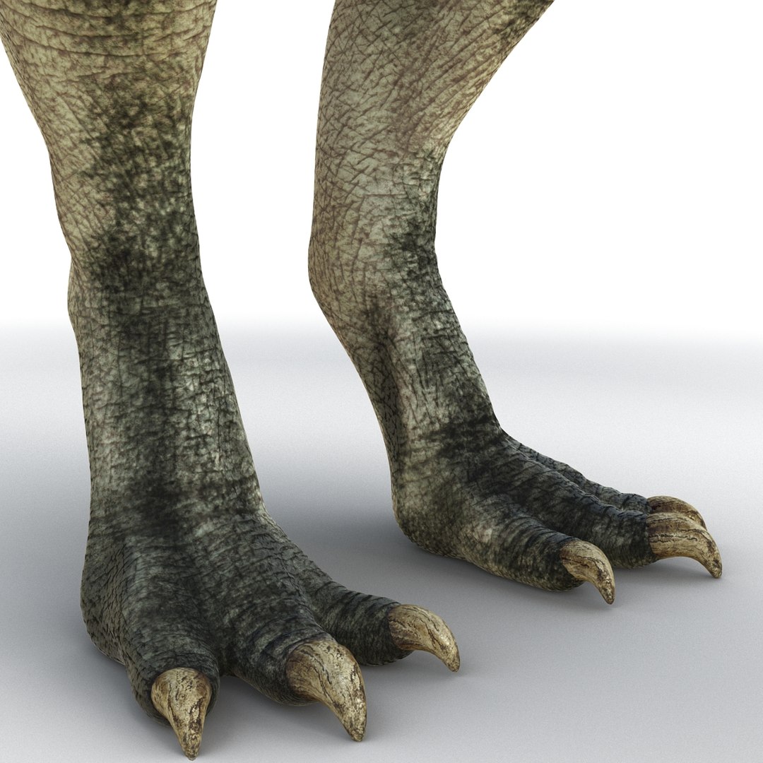 parasaurolophus 3d c4d https://p.turbosquid.com/ts-thumb/z2/DHYx1b/K8vY7ENO/parasaurolophus3dmodel19/jpg/1453386215/1920x1080/fit_q87/0c777129ddf1fbd7a82a3920c9e4124a1c2f7794/parasaurolophus3dmodel19.jpg