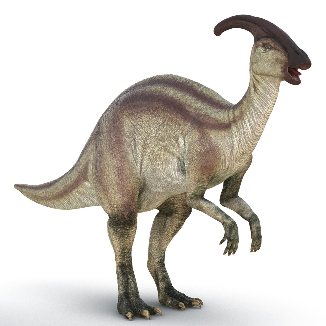 Parasaurolophus 3d C4d