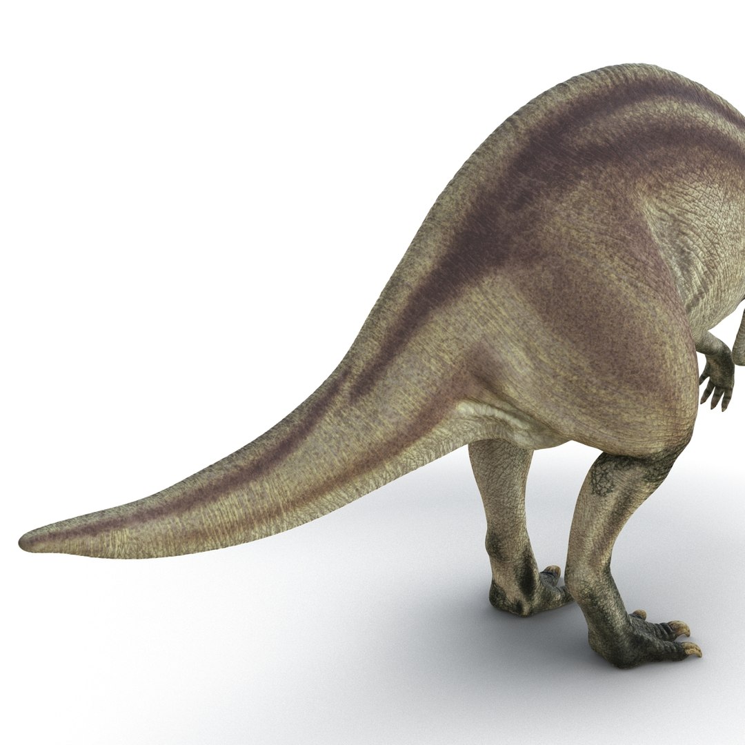 parasaurolophus 3d c4d https://p.turbosquid.com/ts-thumb/z2/DHYx1b/Xab999rv/parasaurolophus3dmodel12/jpg/1453386214/1920x1080/fit_q87/8db0b64334423791a8e73a2fb04e5e4a4e449bf2/parasaurolophus3dmodel12.jpg