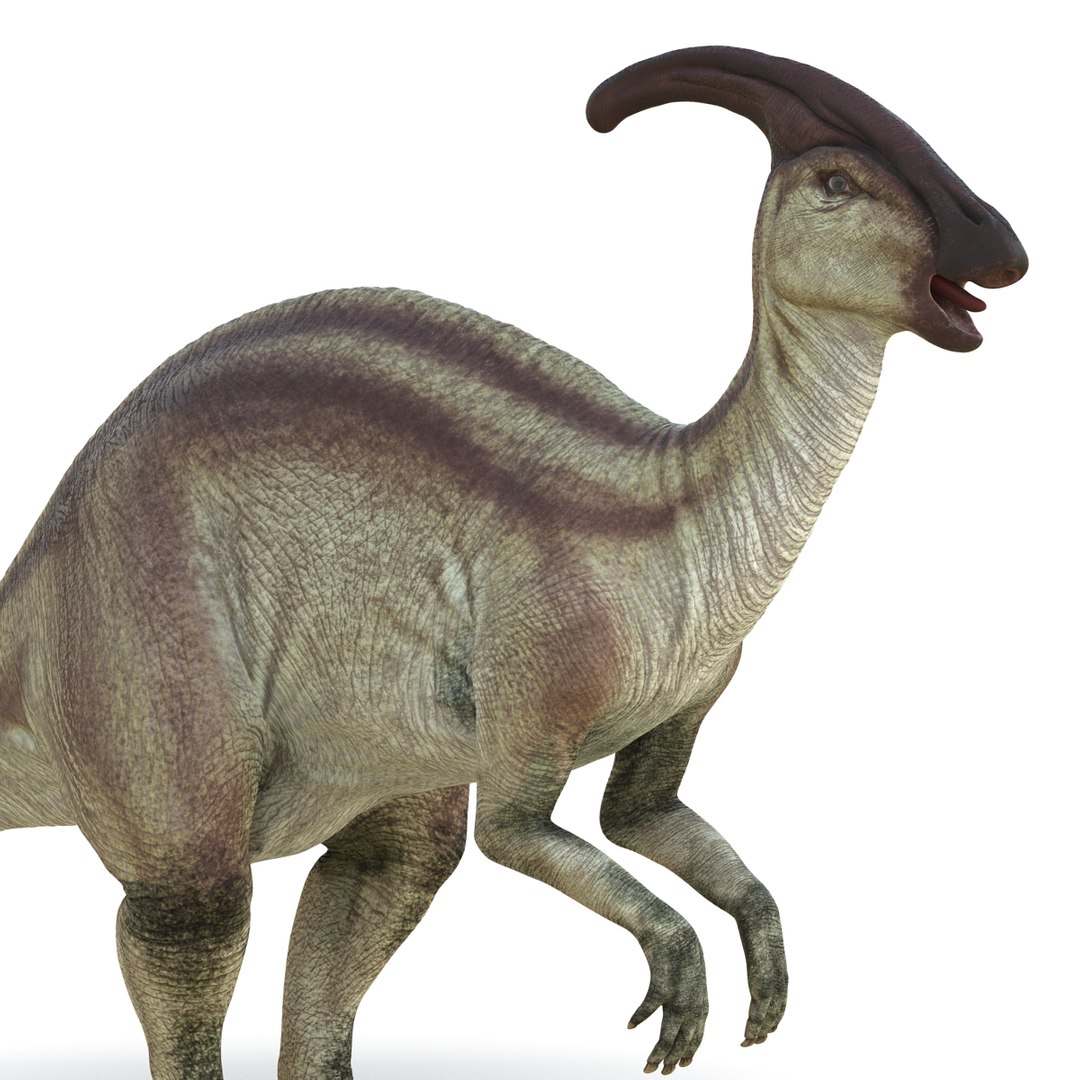 parasaurolophus 3d c4d https://p.turbosquid.com/ts-thumb/z2/DHYx1b/XhLiOSXh/parasaurolophus3dmodel10/jpg/1453386214/1920x1080/fit_q87/21a230579d55c30e12673877db3b078d827d469b/parasaurolophus3dmodel10.jpg