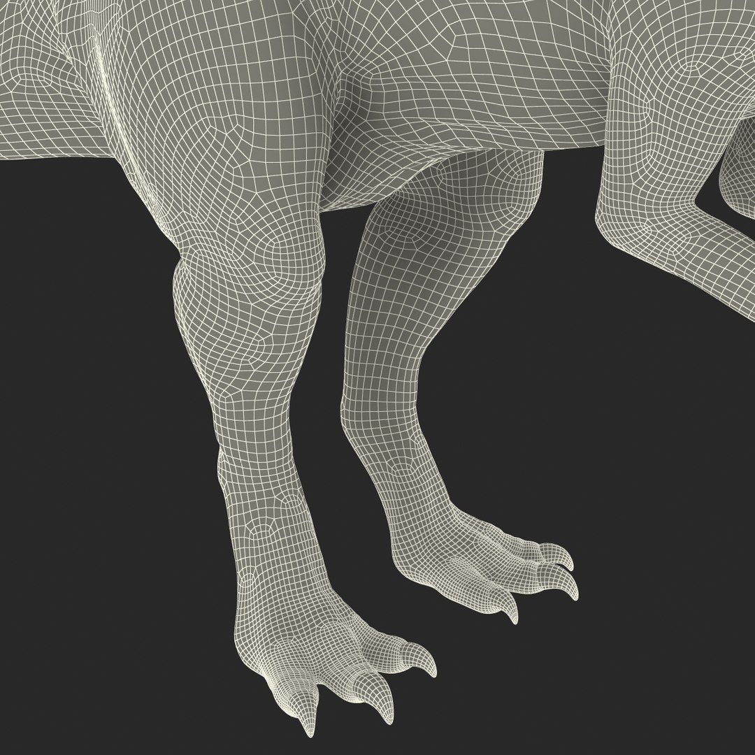 parasaurolophus 3d c4d https://p.turbosquid.com/ts-thumb/z2/DHYx1b/fb1GFuA7/parasaurolophus3dmodel33/jpg/1453386217/1920x1080/fit_q87/04616bce261e2a34871223ae667381aa68a0d082/parasaurolophus3dmodel33.jpg