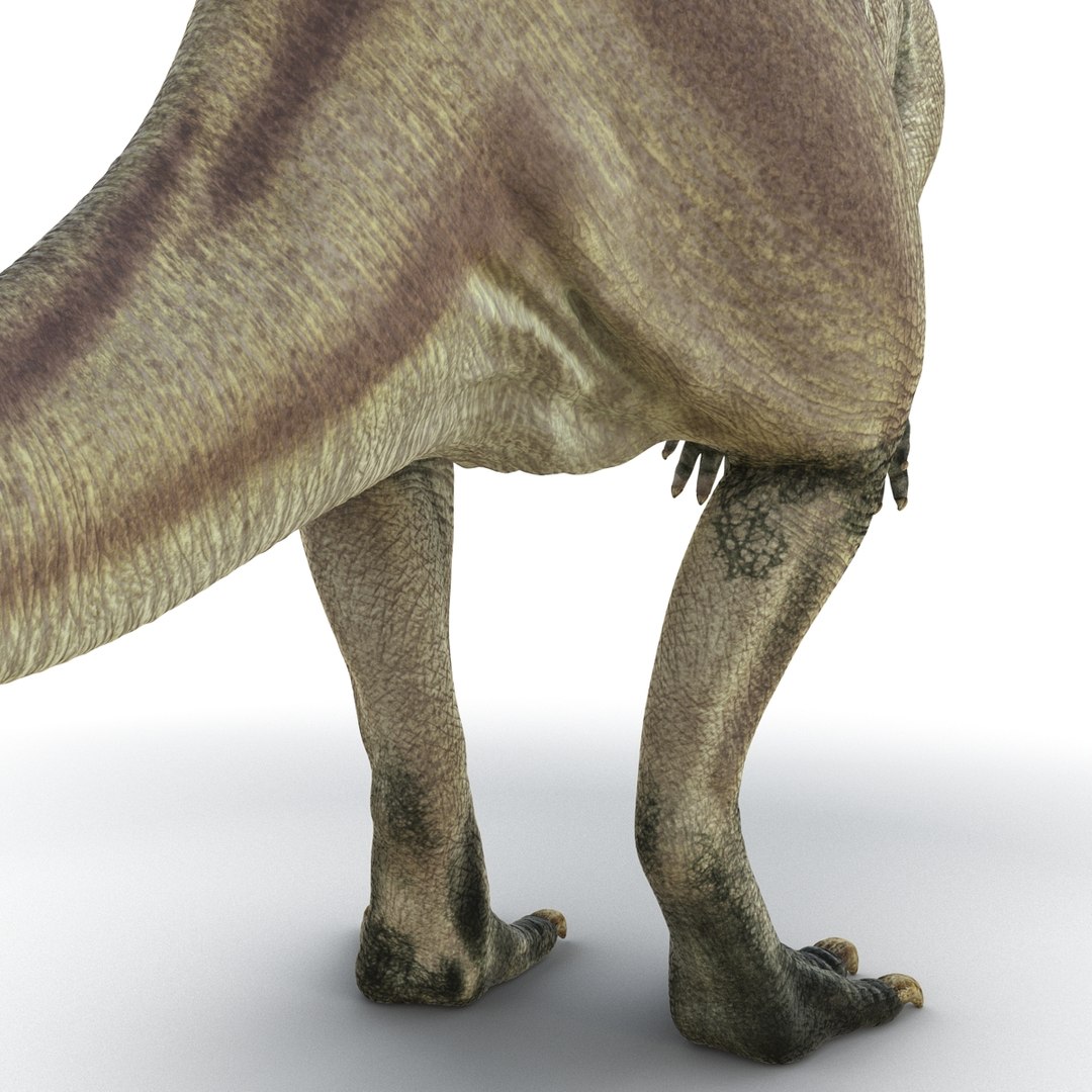 parasaurolophus 3d c4d https://p.turbosquid.com/ts-thumb/z2/DHYx1b/fdO1JxaA/parasaurolophus3dmodel21/jpg/1453386215/1920x1080/fit_q87/44490337f76f3e3707f19c5fd898988c53fe955a/parasaurolophus3dmodel21.jpg