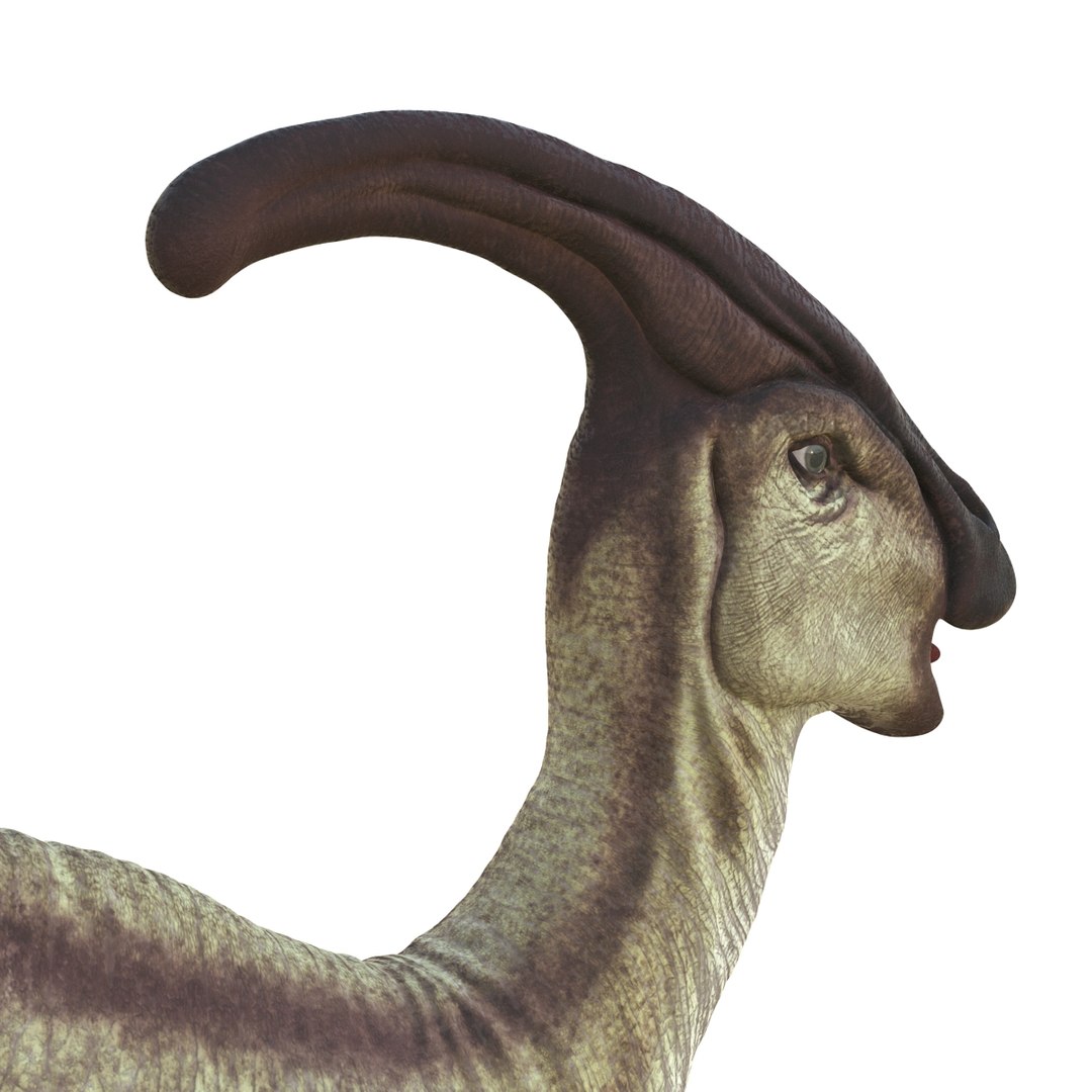 parasaurolophus 3d c4d https://p.turbosquid.com/ts-thumb/z2/DHYx1b/gTCpTeGA/parasaurolophus3dmodel20/jpg/1453386215/1920x1080/fit_q87/6fd573c1ebb6d9b2310c0819c1ad1d98d02cdc94/parasaurolophus3dmodel20.jpg